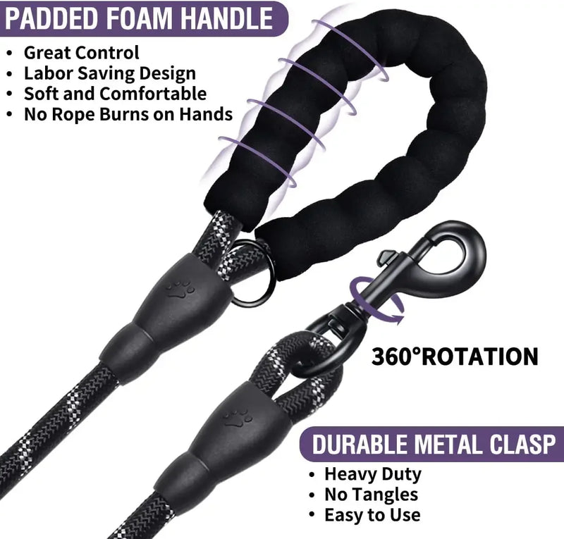 Dog Leash – For the Walks That Matter! 🐾💫
