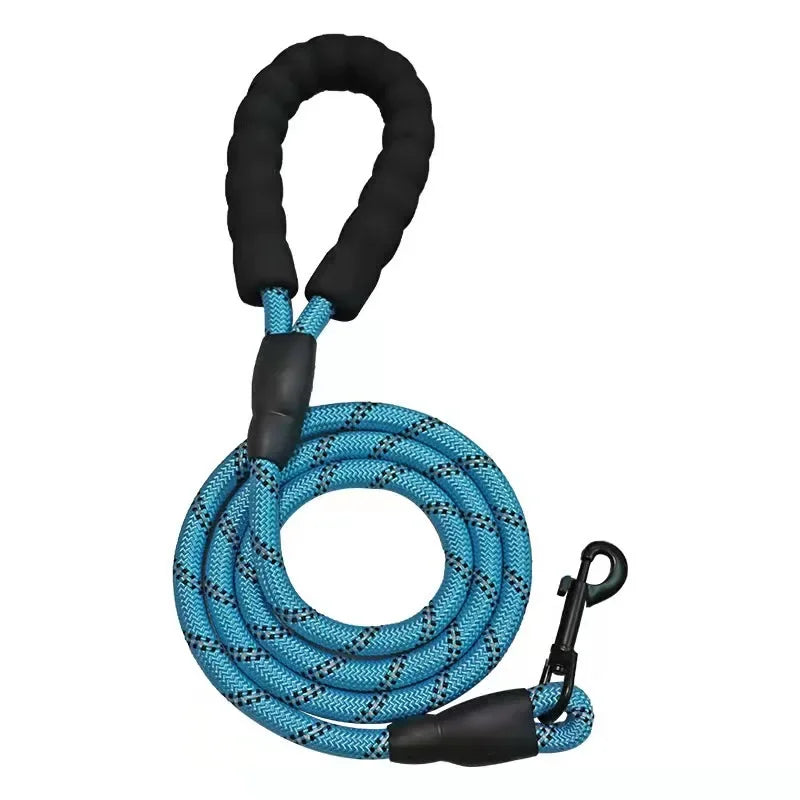 Dog Leash – For the Walks That Matter! 🐾💫