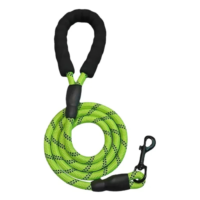 Dog Leash – For the Walks That Matter! 🐾💫