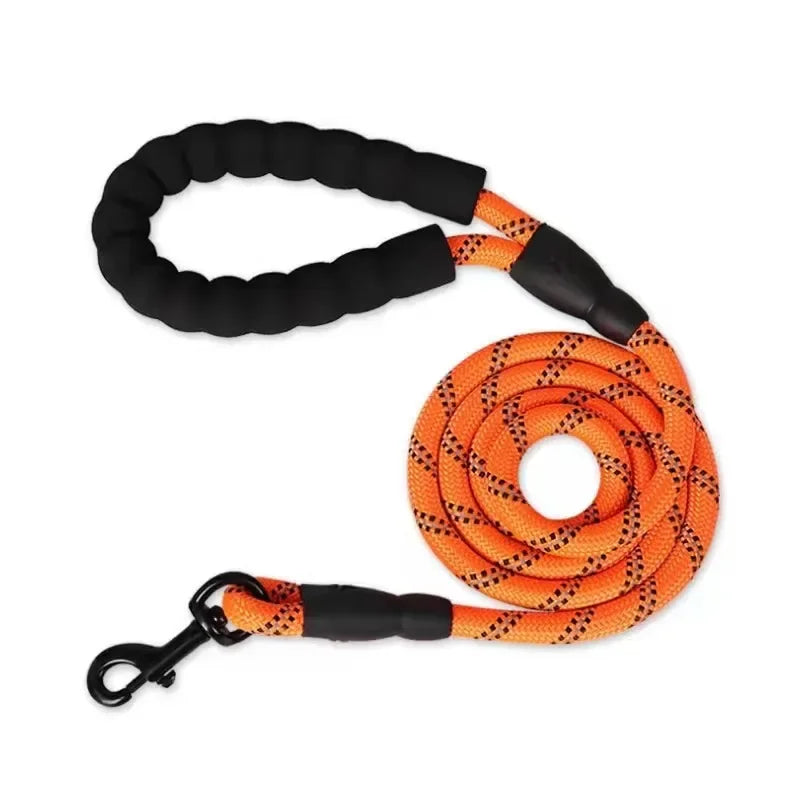 Dog Leash – For the Walks That Matter! 🐾💫